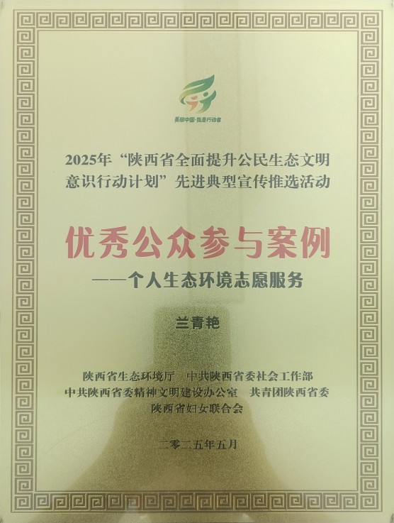 优秀公众参与案例